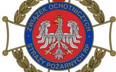 Obchody 50-lecia OSP Pagorzyna